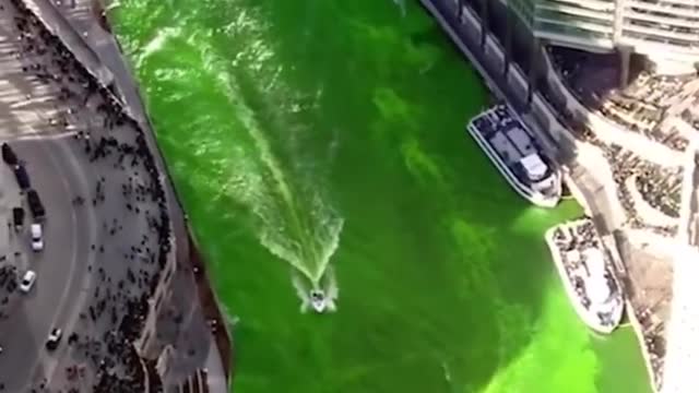 Chicago celebrates St. Patrick's Day and turns the river green.