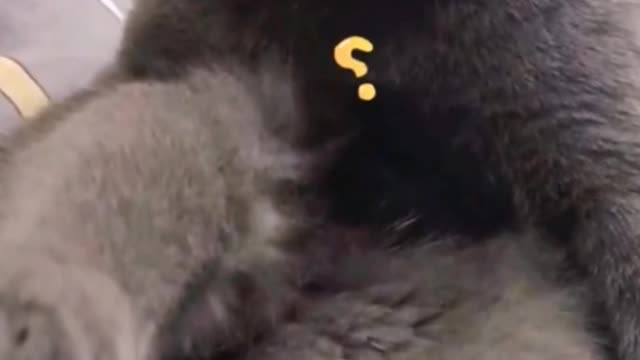 What strange noises are you making?