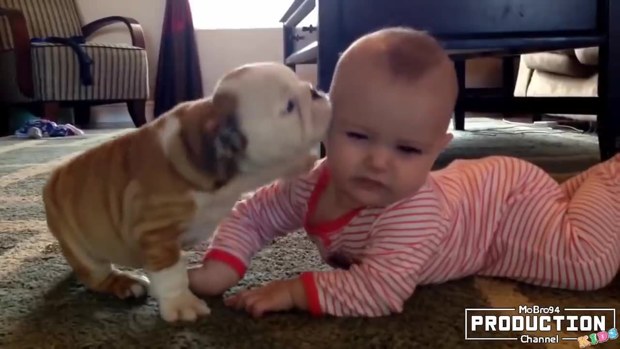 Animal loves baby