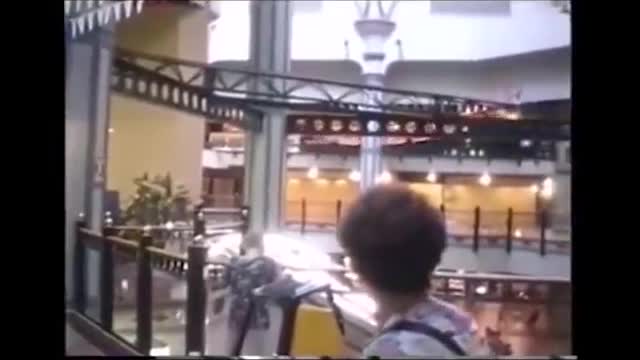 猫 シ Corp. - Palm Mall