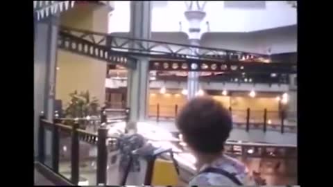 猫 シ Corp. - Palm Mall