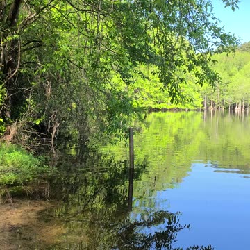 Mazarick Park Fayetteville NC