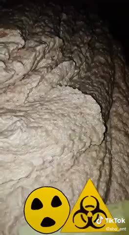 What is Really in a McChicken or McDonald’s Chicken Nuggets