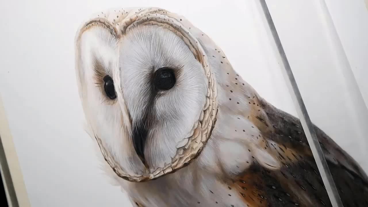 OIL PAINTING Time-Lapse | Barn Owl Portrait | Owl Portrait | Creative Fine Art