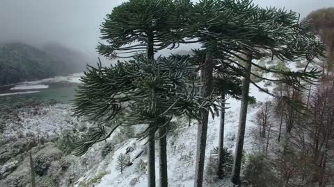 Chile Tourism Spot, Open Nature