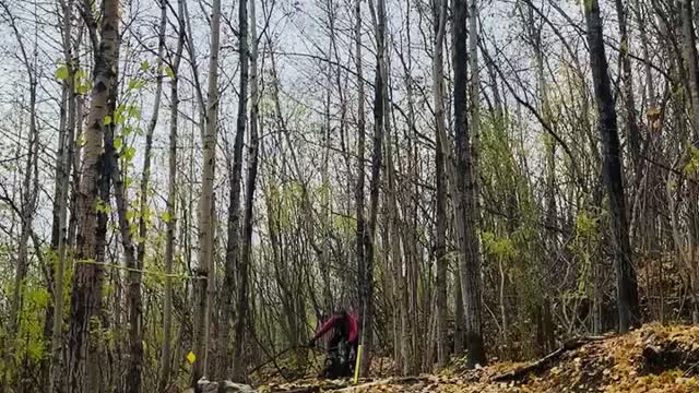 Pogey Trail: Drop Step Down