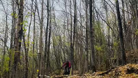 Pogey Trail: Drop Step Down