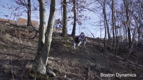 Introducing Spot Classic (previously Spot)