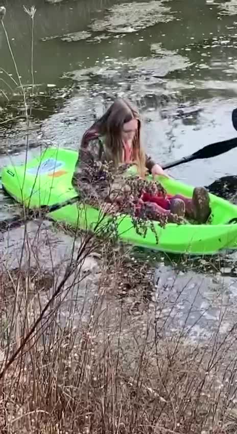 Don’t put cattails in your mouth