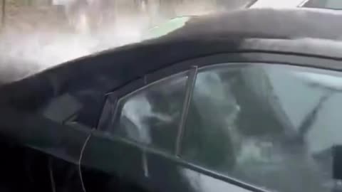 The end 😂😂😂 #shorts #fails #funny #laugh #viral #idiotsradar