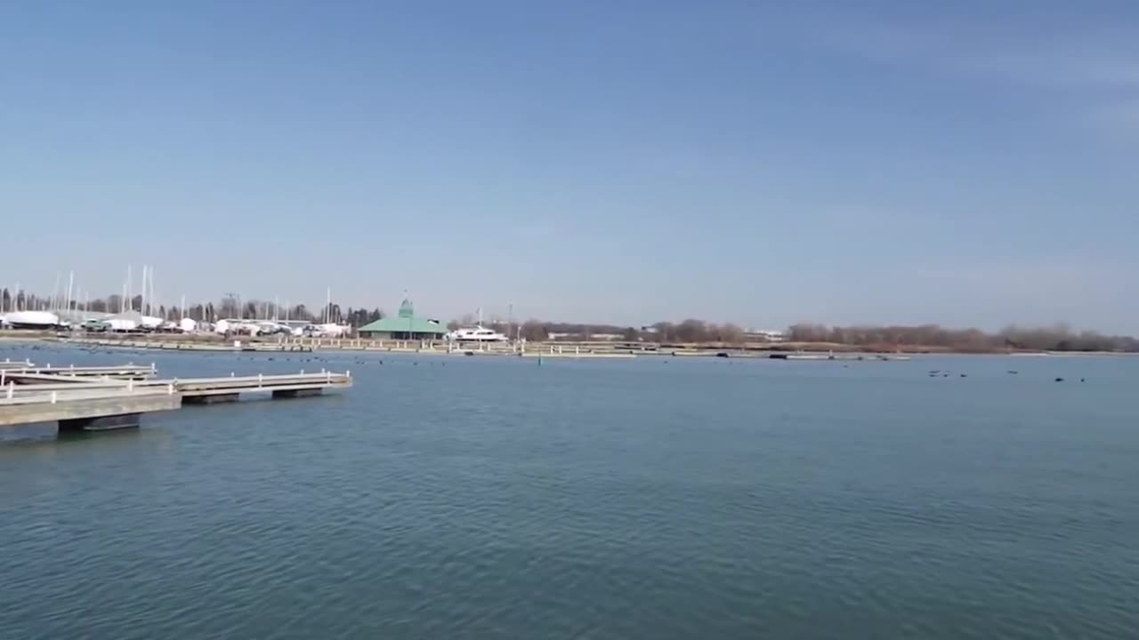 SPRING IS IN THE AIR