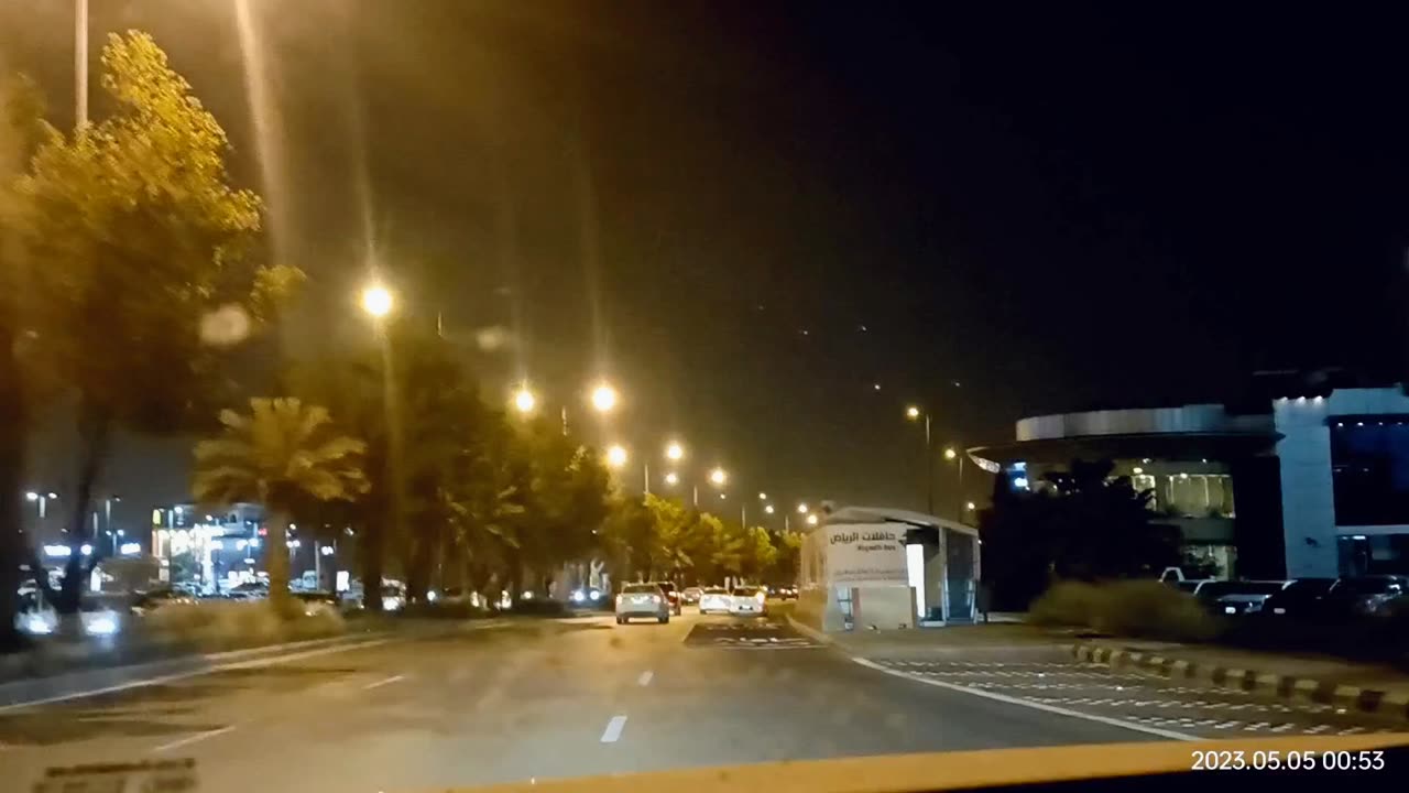 Night life