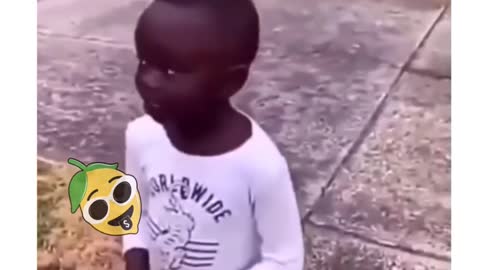 Funny meme video