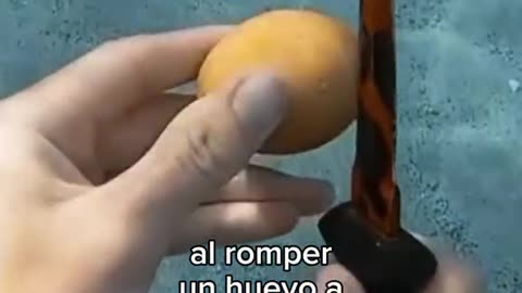 Esto pasa si se rompe un huevo debajo del agua