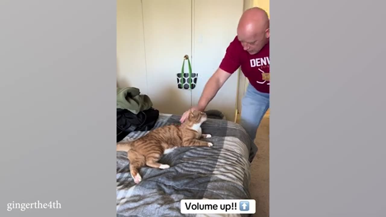 Amazing animals talking back to their owners