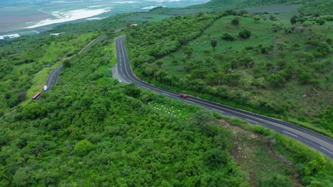 Curvy road on a tree-covered hill