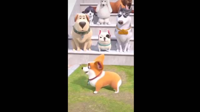 Cat baby funny cartoon and dog video