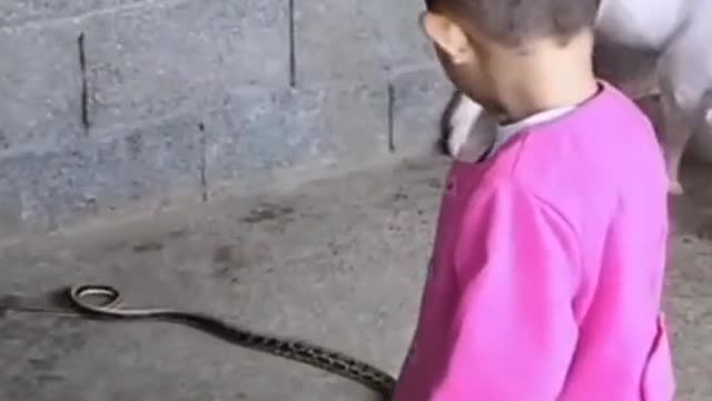 The child has a lot of nerve