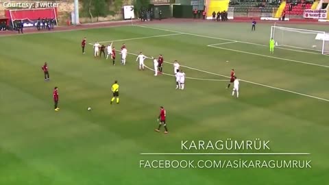 Canine interruption How a dog brought a football match to a halt