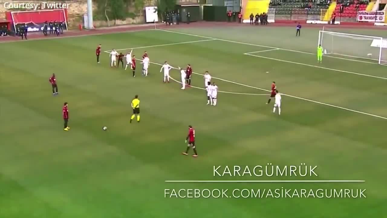 Canine interruption How a dog brought a football match to a halt