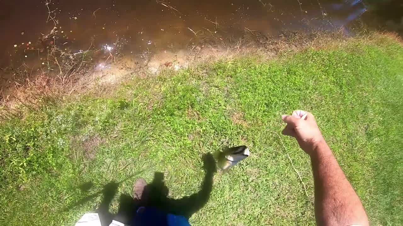 Fishing for Bass in a Southwest Florida Canal - Don't forget to fish the near bank!