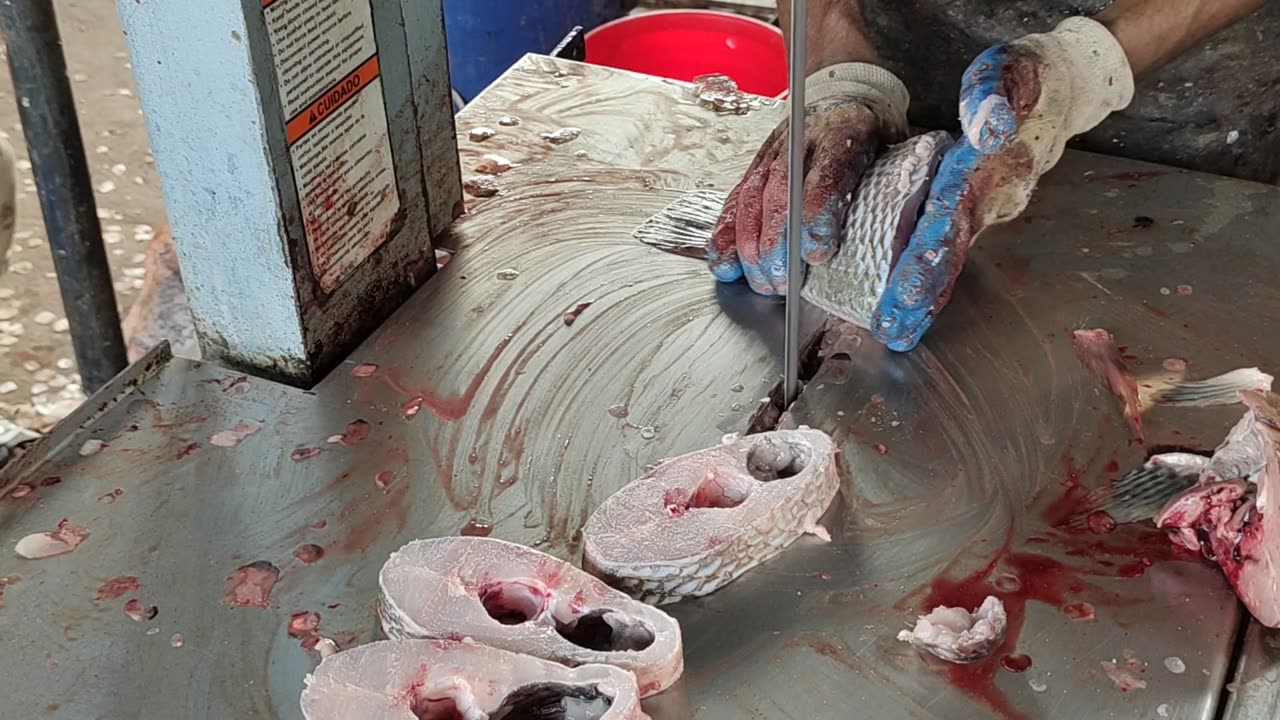 Very Testy Tilapia Fish Cutting By Machine l Amazing Fish Cutting Skills