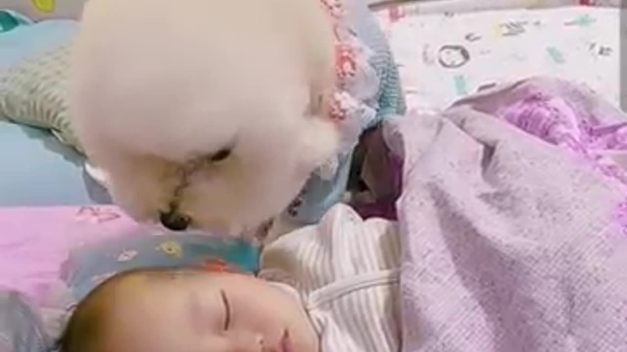 🐕❤Most heartwarming & touching cute dog takes care of dog baby😘😘
