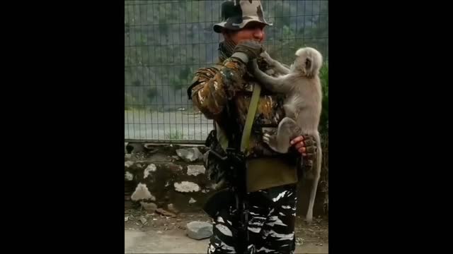 An army friendship with a monkey
