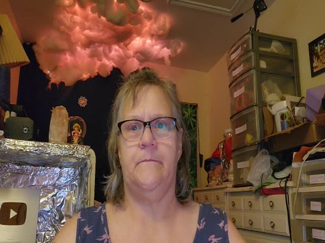 Discriminatory Bill 96