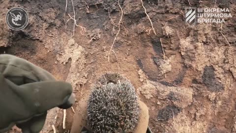 Russia is killing not only our people