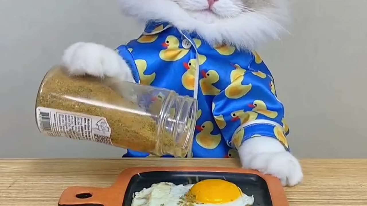 cute cat is making breakfast for himself