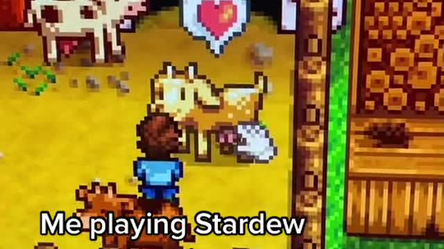 The ONLY mf I will marry in Stardew