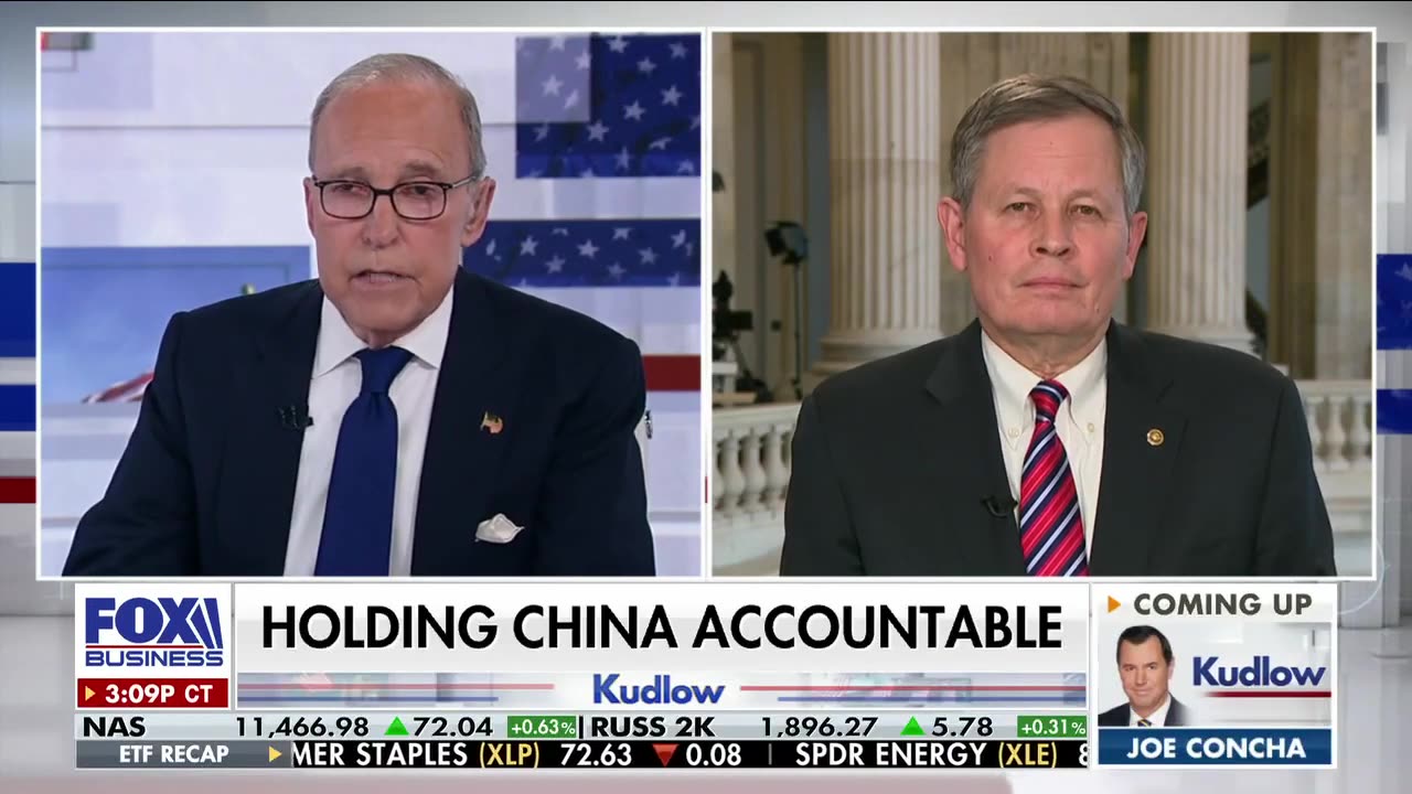 The Chinese were complicit in this cover-up: Sen. Steve Daines