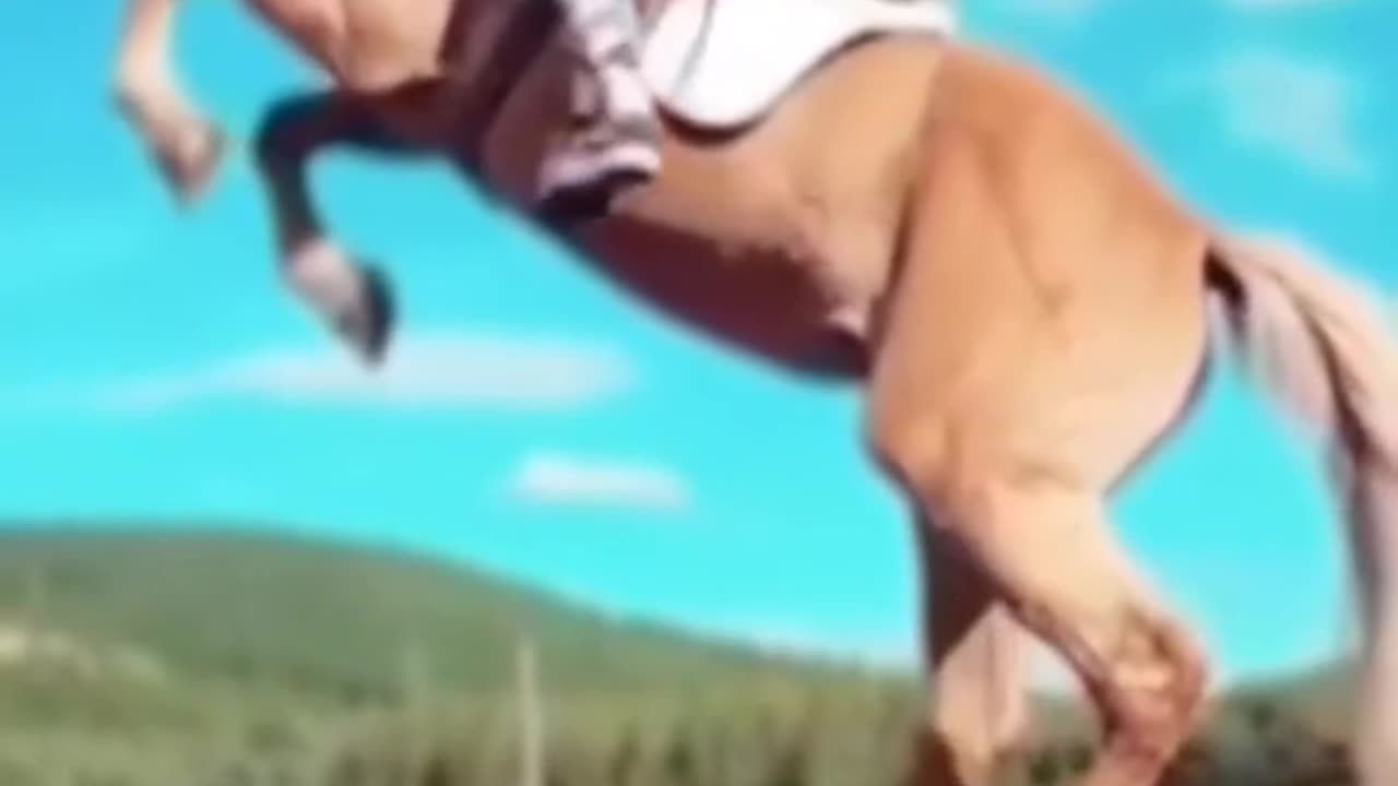 hourse riding , funny video