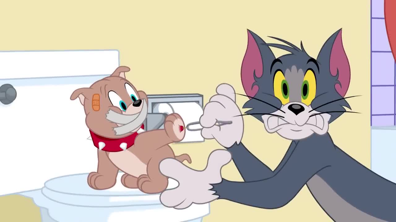 Tom ve Jerry | Kıymık | Boomerang