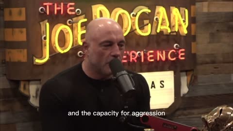 Jordan Peterson on Power and How Women Choose Relationships | Joe Rogan Podcast