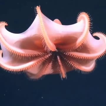 Where is artificial intelligence to nature