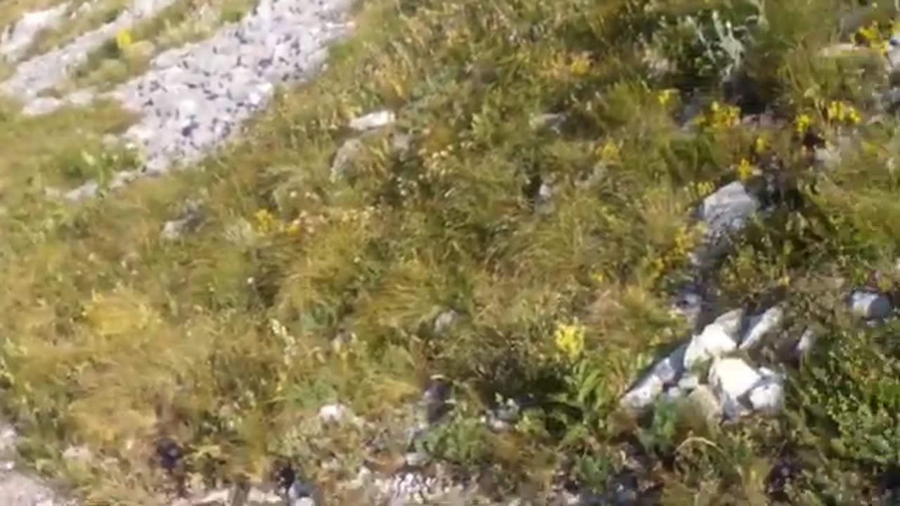 Rtanj Mountain-The Summit of Mountain Rtanj