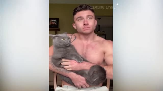 Cats Are Jerks! Cats Slapping Their Own Owner