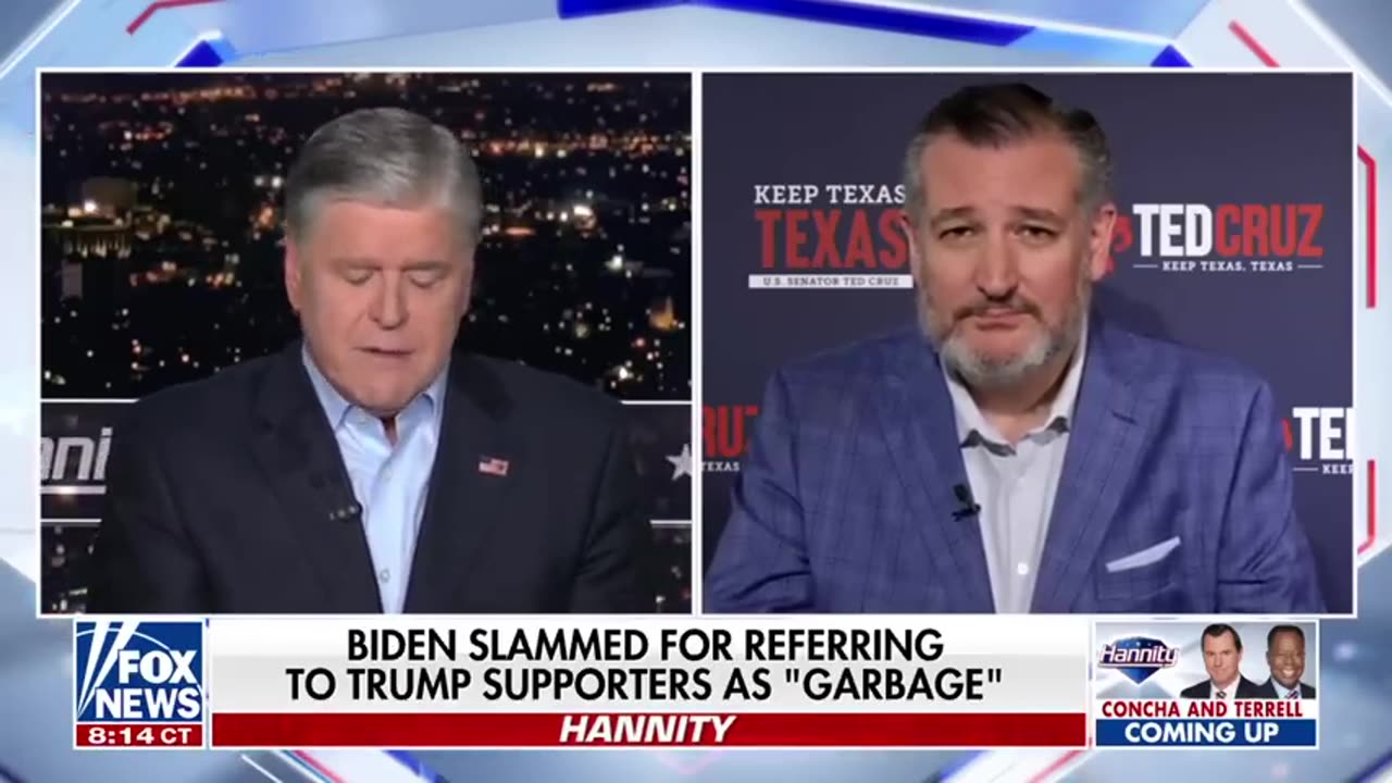 Sen. Ted Cruz_ The extreme left ‘have lost their minds’