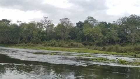 Canoe at rapti sauraha