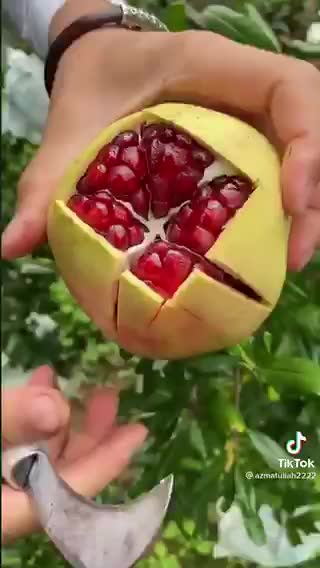 Cutting skills of beautiful pomegranate
