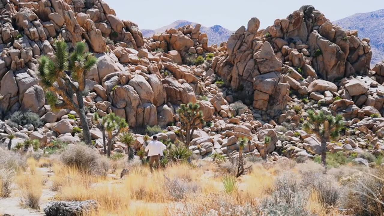 Beautiful Nature or life Spring Season|Best Scene Between Mountains|