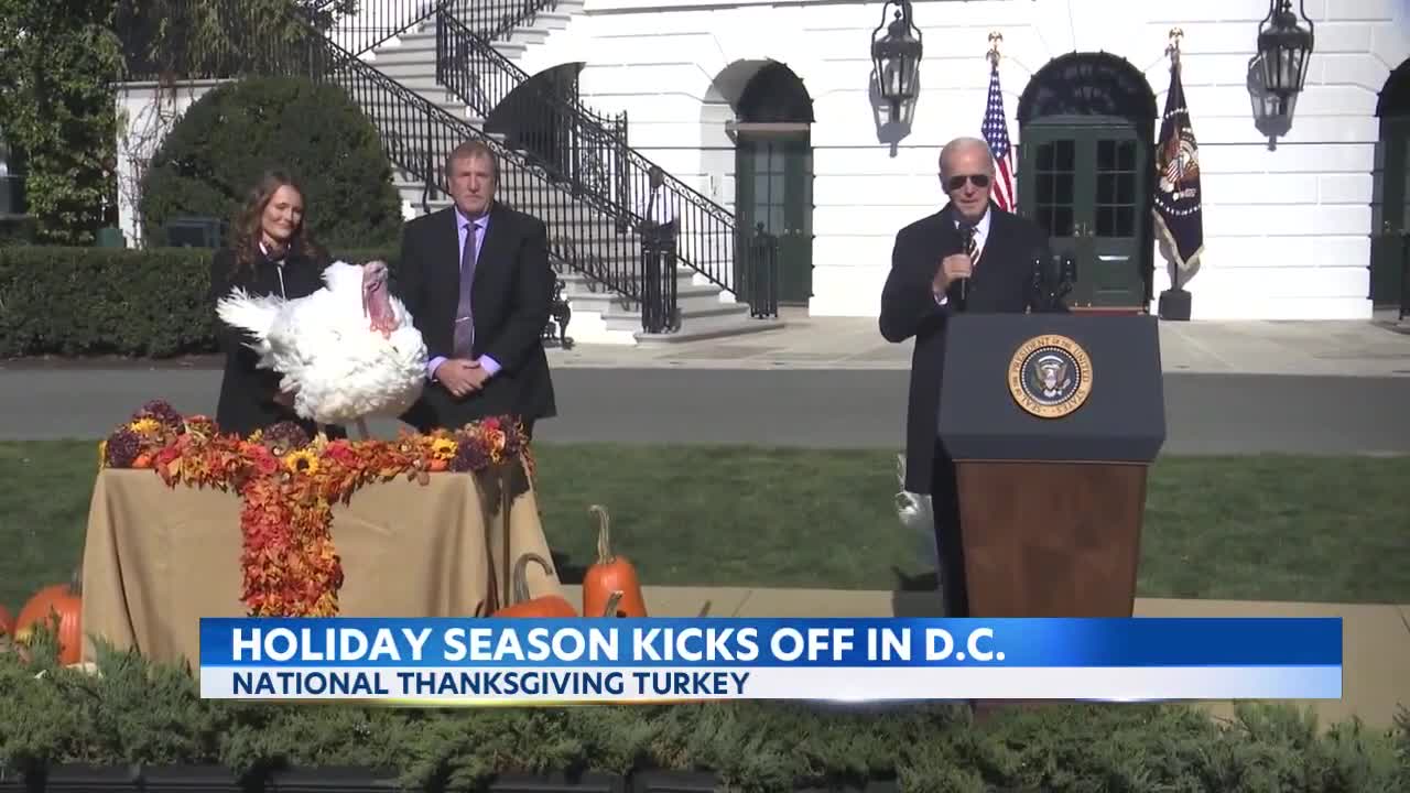 Biden pardons Thanksgiving turkeys_ 'No ballot stuffing, no fowl play'