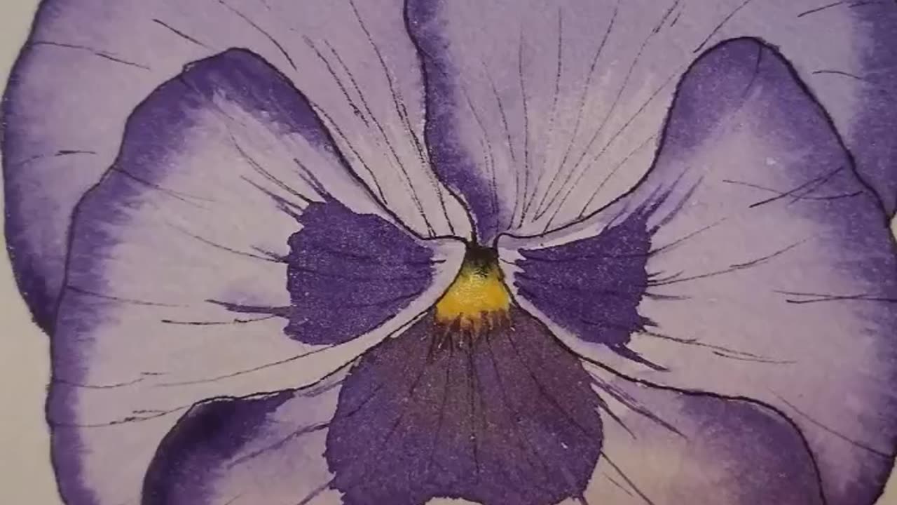 Pansy Speed Paint