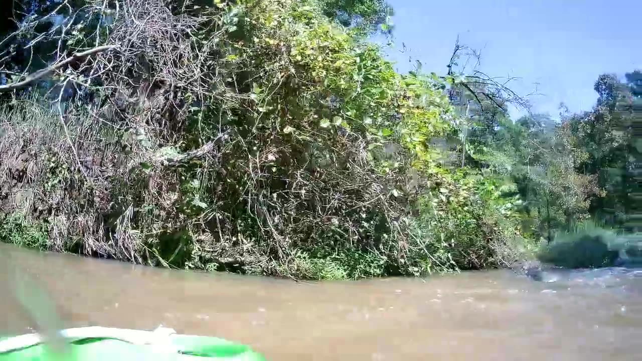 Carnage on the Lower Haw, LRCC Sept 3 2020, Pt. 2