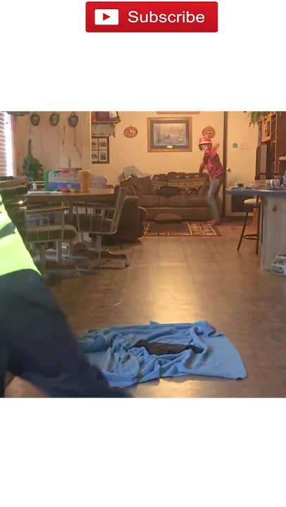 amazing funny Video Clips #shorts (175)