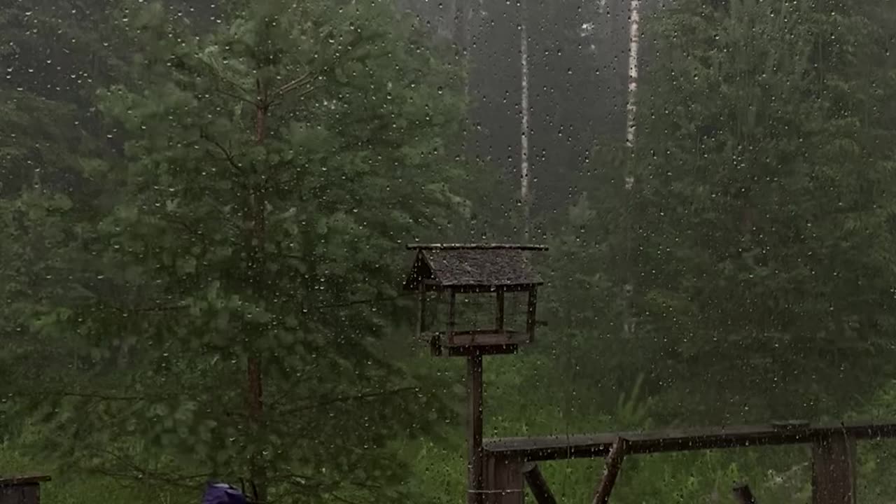 Sound Of Rain is So Soothing 🌧️🌧️