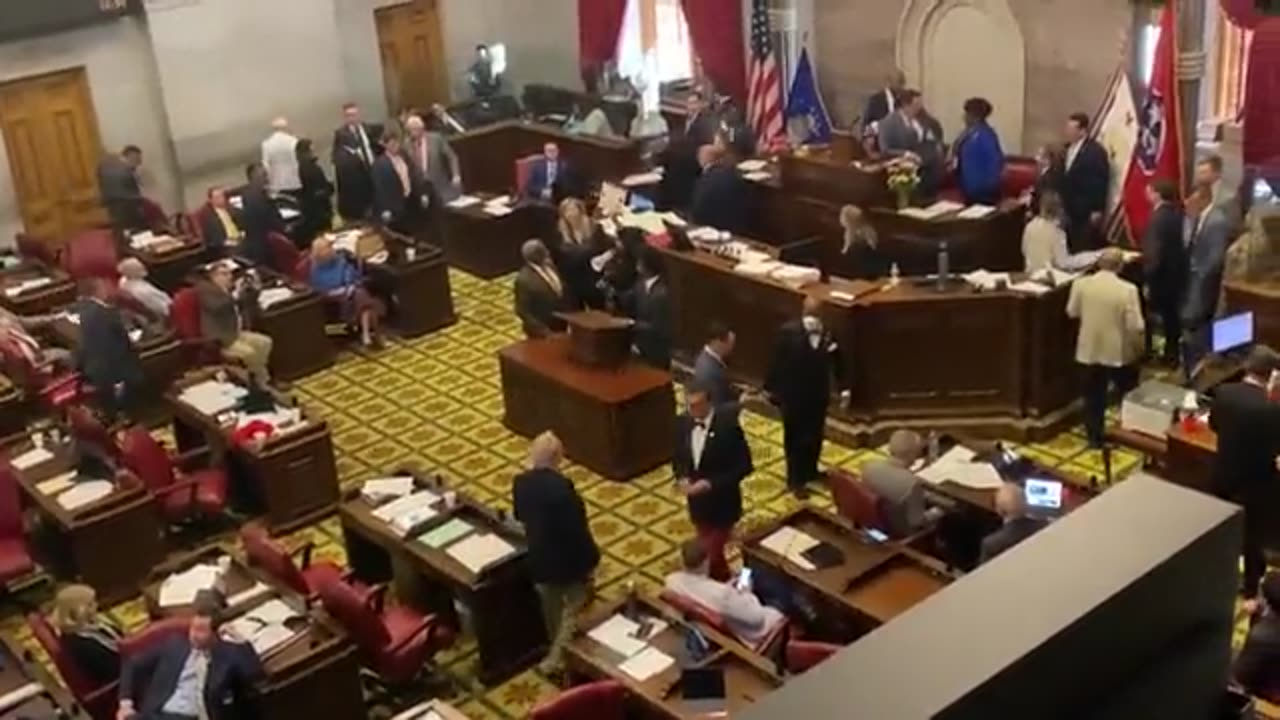 Leftists storm the Tennessee Capitol demanding more gun control measures.