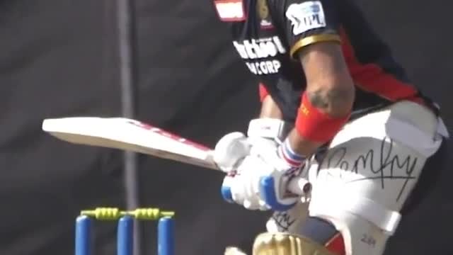 Viral cricket